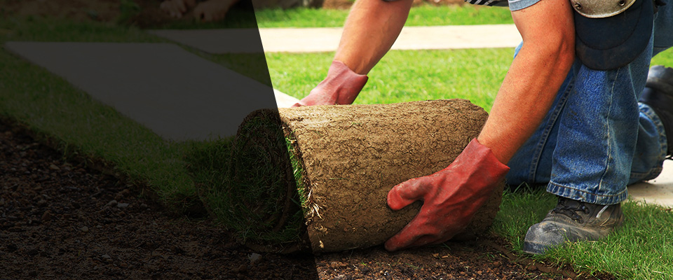 Spencer Landscapers